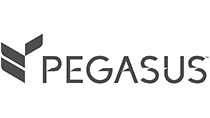 Pegasus Solutions
